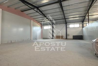 Hala cu acces tir,  300 MP Mosnita noua - 4