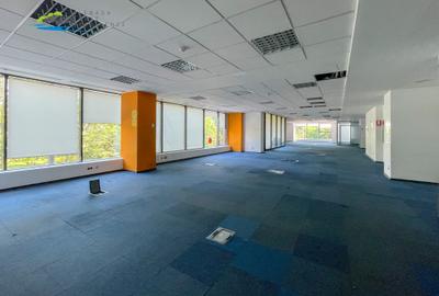 Spatiu de birouri Etaj 1 cu receptie exclusiva cladirea Delea Noua 2 - 6