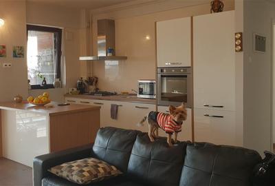 Vanzare  apartament  2 camere Ploiesti, zona Albert - 9