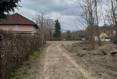 Teren Intravilan - parcelabil - 1.450 mp - Valea Avrigului - 5