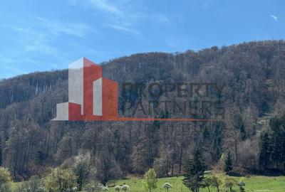 Terenuri Bran - Predelut  Priveliște către Bucegi și Postăvaru - 14