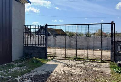 Casă cu hală industrială Drăguțești - 5