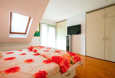 Casa idividuala ,330 mp utili + teren de 800 mp, Manastur - 11