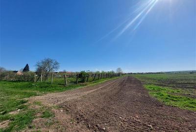 Teren pentru dezvoltare rezidentiala langa padure, in Pischia - 4