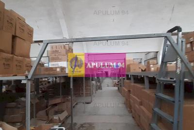 Hală 3600mp zona de Sud a capitalei - 19