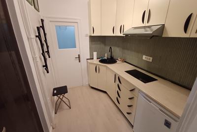 Garsoniera Sala Palatului, Parc Cismigiu, prima inchiriere, bloc consolidat - 7