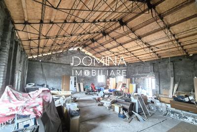 Vanzare Hala industriala cu teren 4.193 mp, situata in Barsesti - 5