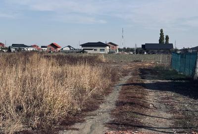 AV704 Parcele de vanzare, PUZ NOU, Covaci, 29.900 euro - 1