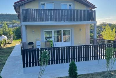 Casă individuală cu 7 camere în Coșula