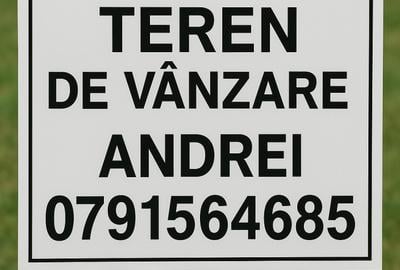 Teren intravilan Chinteni jud Cluj 10000mp - 1