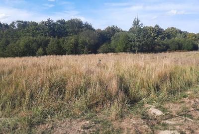 FARA COMISIOANE TEREN parcelabil 10756mp linga padure Comuna Dumbravita Brasov - 1