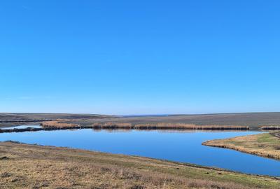 Vanzare teren Loc. Frasinet, 2.000 mp, deschidere lac 50 m, comision 0% - 5