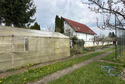 Investitie: Casa cu teren constructii si pastravarie - Prejmer, Brasov - 11
