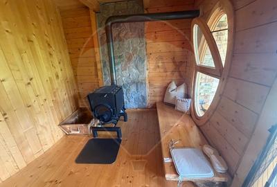 Proprietate eco-turistică de vânzare – 62.330 mp, Horea, Alba - 6
