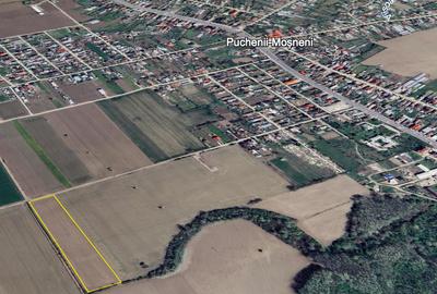 Teren Generos de 11.694 mp pentru Construcții — Puchenii Mari, Prahova - 1