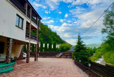 Casa de vacanță sau pensiune | Bâtca Doamnei | Teren în natură - 3