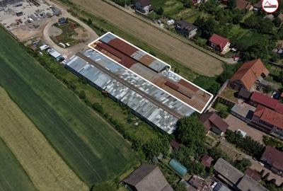 Hală industrială de vanzare - COMISION 0% CUMPARATOR - 6