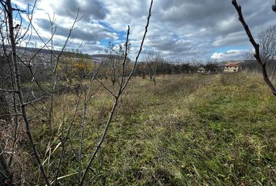 Teren intravilan in Chinteni 1.250mp pentru case sau Duplex - 1