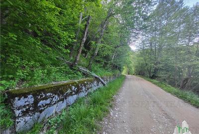 Teren Intravilan 12000 mp, Cascada Urlatoarea, proiect aprobat pentru Resort, la - 3