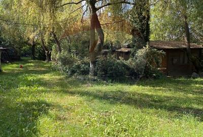 Ansamblu de 7 Căsuțe de Vacanță, Ocna Șugatag - 9