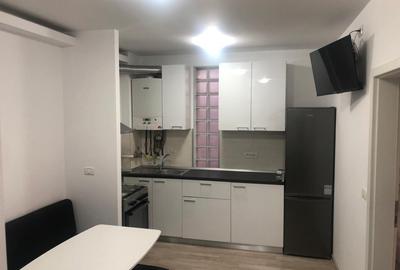 Sagului 2 camere 350 euro - 1