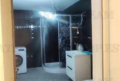 De inchiriat casa renovata zona tei, locuinta sau investitie. - 6