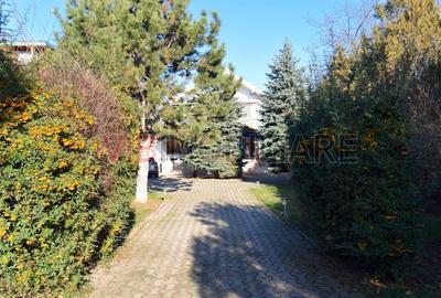 Vila deosebita pe Malul Lacului Grivita – Confort si Eleganta! - 3