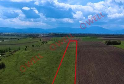 Teren extravilan de vânzare în Ilieni! - 2
