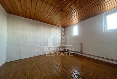 Spațiu de închiriat - 170mp - zona UTA Vlaicu - 9