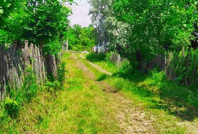 Teren intravilan Talea situat in mijlocul naturii ! - 15