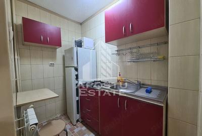 Apartament cu 1 camera de inchiriat, zona Take Ionescu, Timisoara - 4
