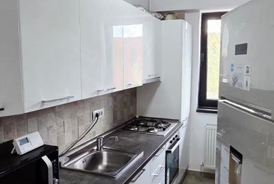 Apartament 2 camere,decomandat, 64mp ,vedere parc Politehnica - 9