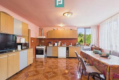 Casă individuală în Săcălaz - 2063 mp teren - 19