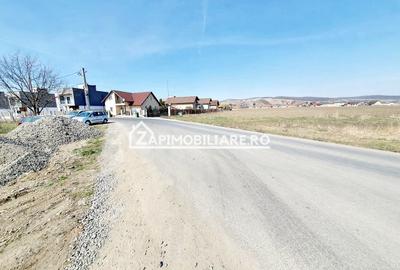 Teren 27.000 mp.deschidere la 2 drumuri ,75 euro mp. - 4