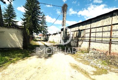 De vanzare Teren + Hale  in Targu Jiu, Bârsești - 2