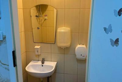Inchiriere Vila 325 mp | Timpuri Noi | 9 camere + curte 800 mp - 8