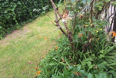 Casă individuală cu 3 camere în Andrei Mureșanu