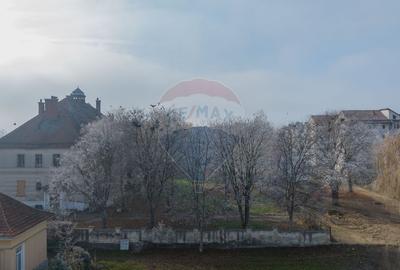 DE VANZARE !!! " CASINO " imobil cu istorie, Fabrica de Zahar BOD - 3