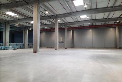 Spațiu industrial, 5000 mp în Cristești