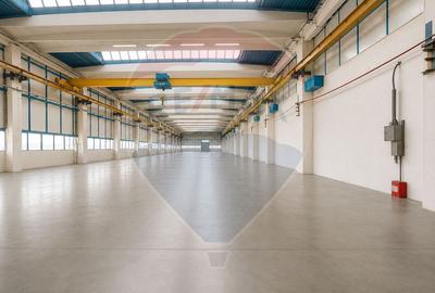 Hala Industriala cu Pod Rulant | Platforma IAR Brasov | Acces Logistic - 5