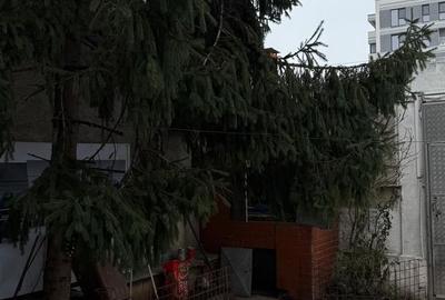 URGENT!, singur curte, constructie 1998, NEGOCIABIL - 4