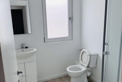 Hala industriala nouă ,499 mp construiti, zona Rudeni-Chitila, Centura Vest - 20