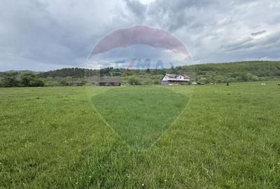 Proprietate OFF-GRID 5,76 Ha. Casa tradiționala lemn. Limită Cluj - 19