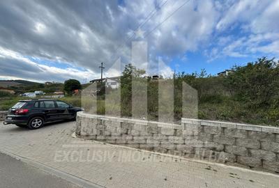 Teren intravilan | Pentru bloc P+3 | 2900 mp | Cetate-Paclisa - 3