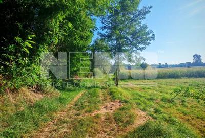 TEREN INTRAVILAN | FRATĂUȚII NOI | 1.1 HA - 12