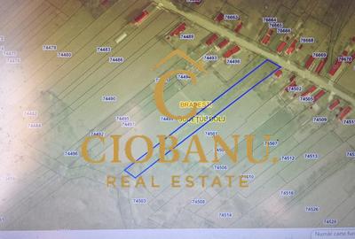 Teren Intravilan/Extravilan de vanzare in Bradestii Batrani - 1