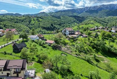 TEREN INTRAVILAN 2.000 MP ÎN PEȘTERA – MOIECIOU | IZVOR PROPRIU | UTILITĂȚI | D - 7