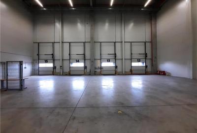 Spatiu Industrial - 5500 mp - Logistica - Productie - Depozitare - 6