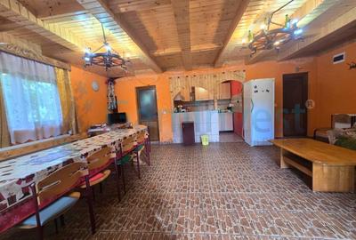 Casa de vacanta cu 5 camere,de vanzare,Garda de Sus,Arieseni,Alba - 4
