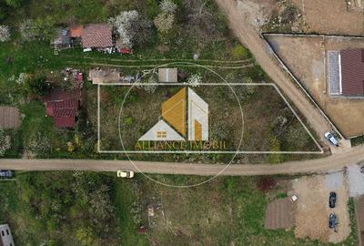Teren extravilan de vânzare – ideal pentru casă sau parcelare în 2 loturi - 5